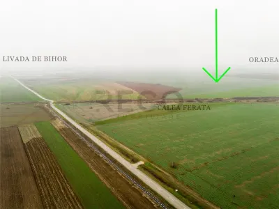 RECO Teren extravilan 5800 mp Livada de Bihor - foto 2
