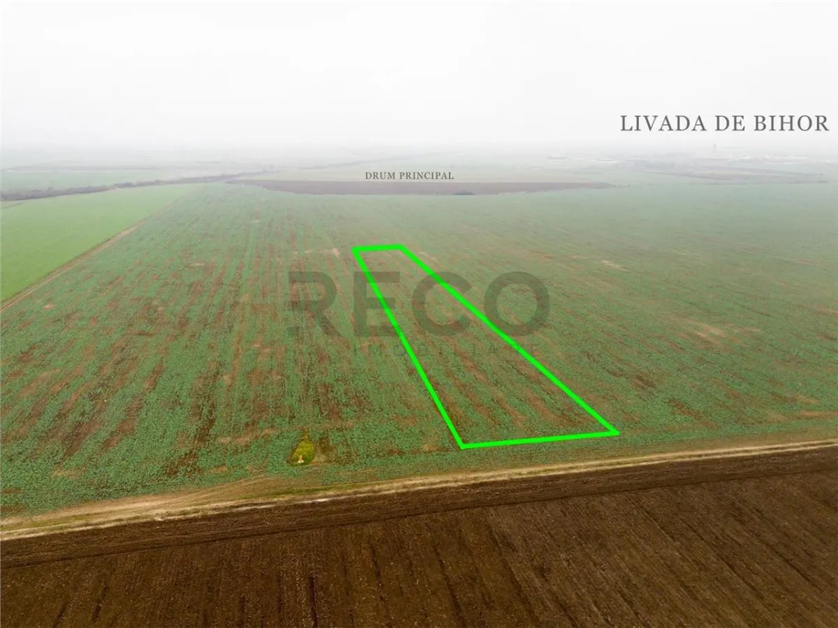 RECO Teren extravilan 5800 mp Livada de Bihor - foto 4