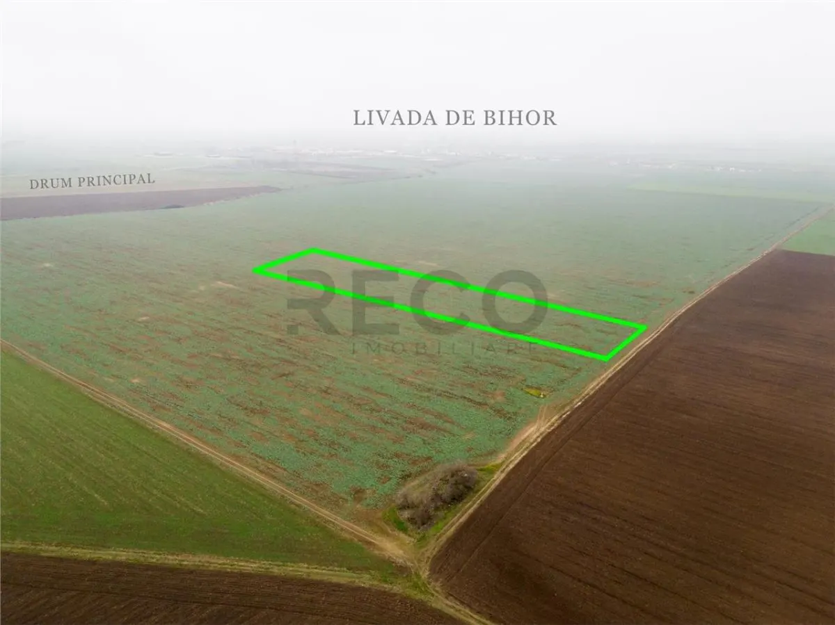 RECO Teren extravilan 5800 mp Livada de Bihor - foto 6