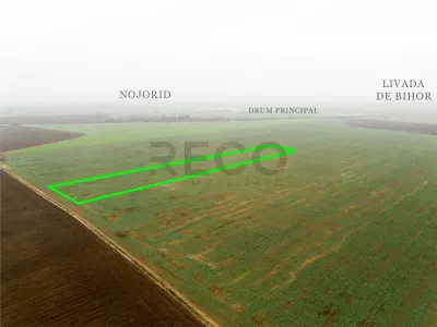 RECO Teren extravilan 5800 mp Livada de Bihor - foto 7