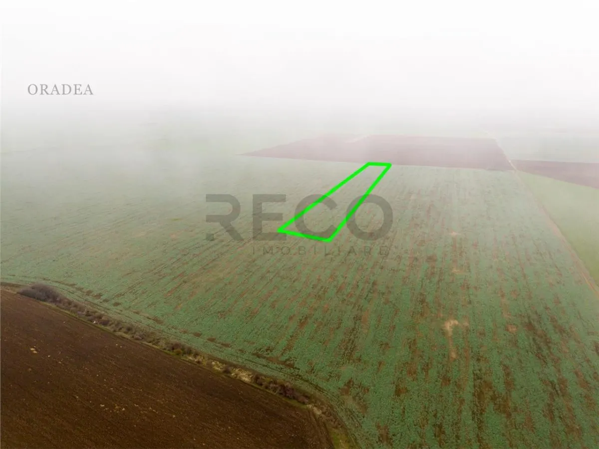 RECO Teren extravilan 5800 mp Livada de Bihor - foto 9