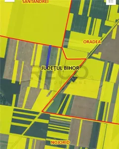 RECO Teren extravilan 5800 mp Livada de Bihor - foto 10
