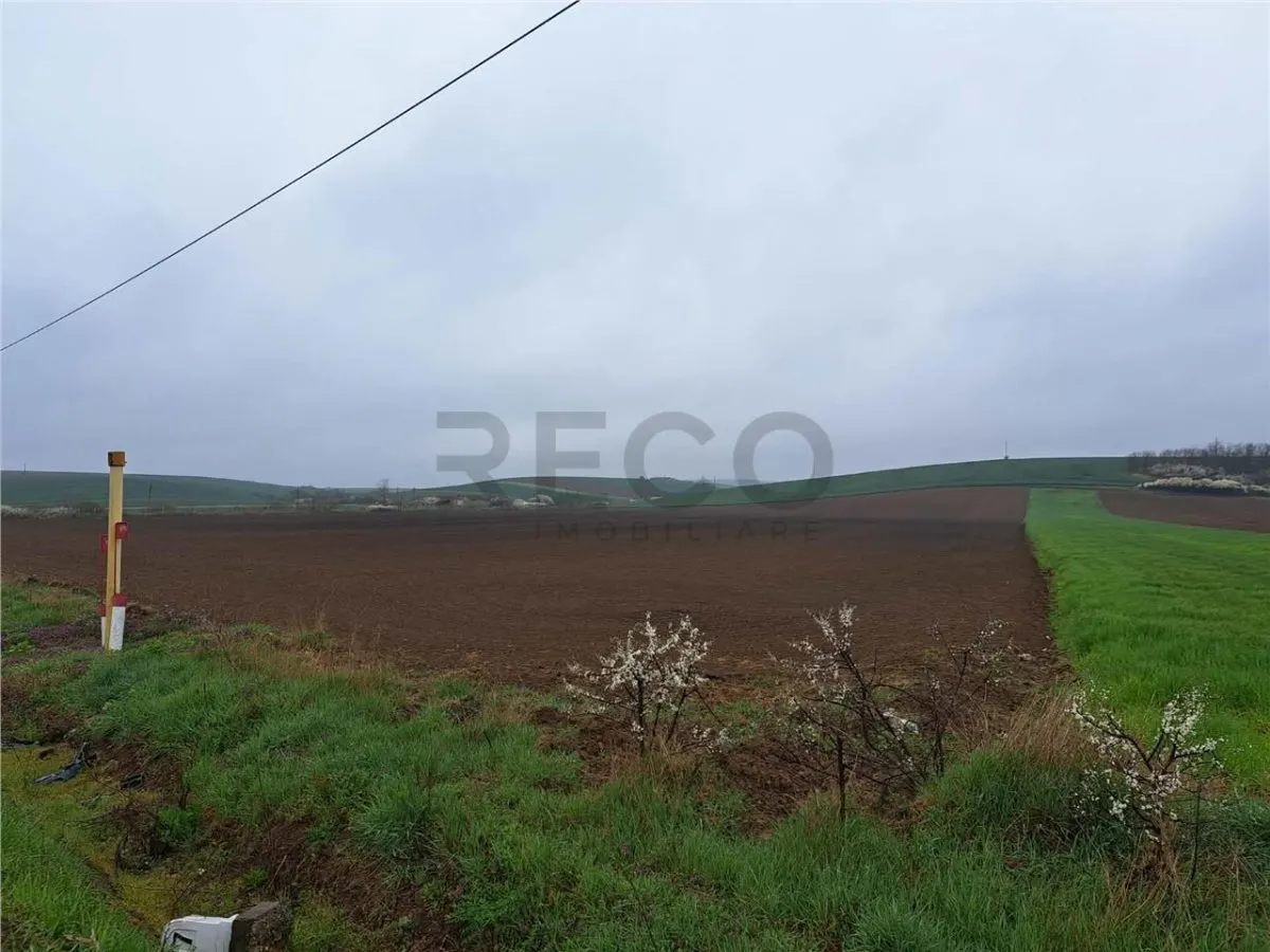 RECO teren Ghenetea 7800mp - foto 1