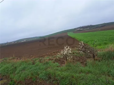 RECO teren Ghenetea 7800mp - foto 4