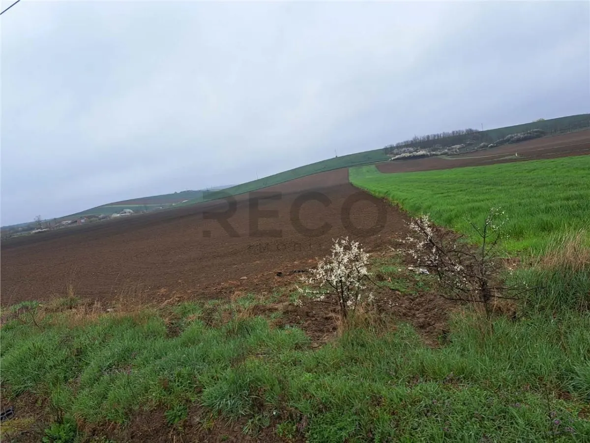 RECO teren Ghenetea 7800mp - foto 4