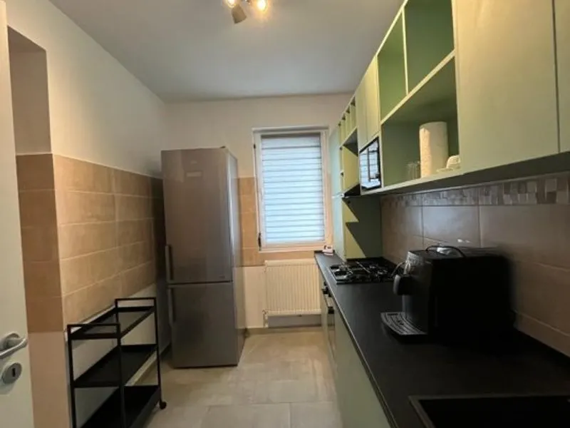 Mihai Bravu Metrou Parcul Tineretului Centrala Proprie Parcare Pet Friendly - foto 8