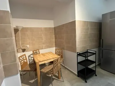 Mihai Bravu Metrou Parcul Tineretului Centrala Proprie Parcare Pet Friendly - foto 9