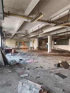 Spatiu comercial zona Brosteni - foto 2