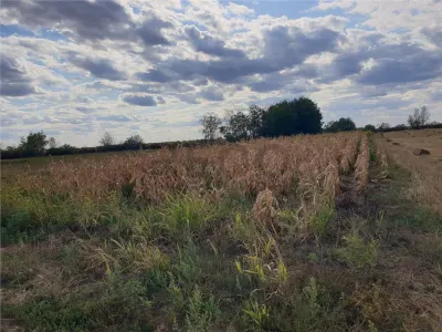 RECO Teren extravilan in Santion - Santion