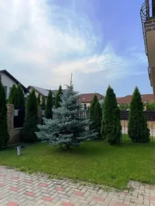 Vila 3 camere in Ploiesti, zona Albert - foto 13