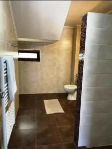 Vila 3 camere in Ploiesti, zona Albert - foto 10