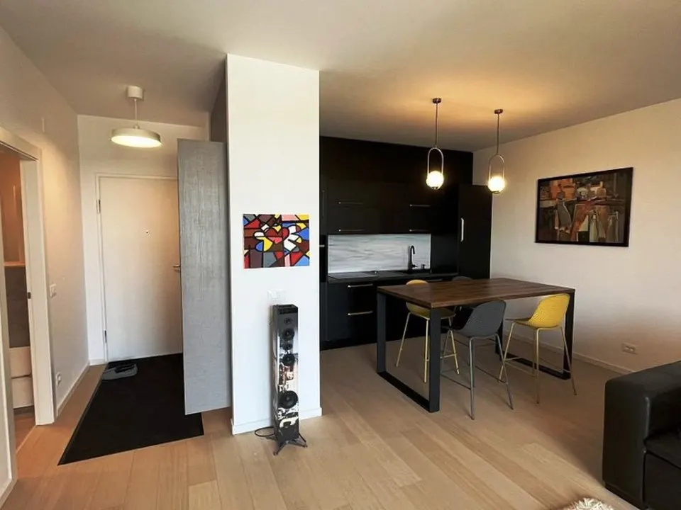 Apartament 2 camere nou, zona Baneasa - foto 8
