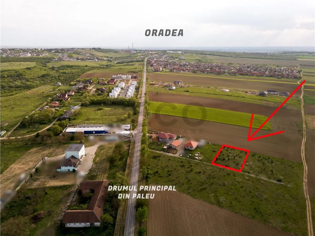 RECO Teren de vanzare Paleu 1025mp - foto 4
