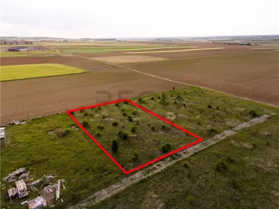 RECO Teren de vanzare Paleu 1025mp - foto 6