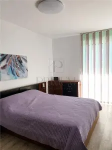 ARADULUI - PENTHOUSE - 2 CAMERE - TERASA 50 MP - CENTRALA PROPRIE - foto 5