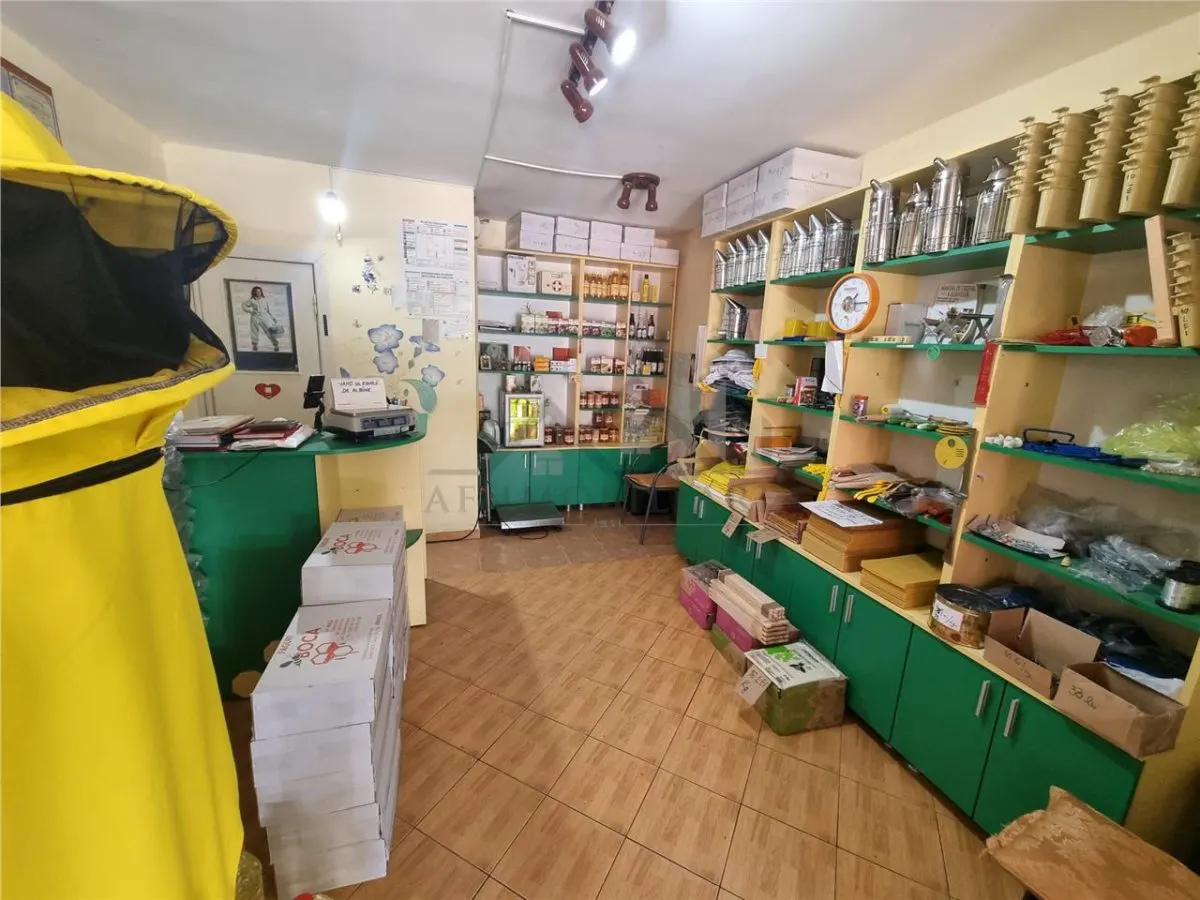 Spatiu comercial 20 mp in Nicolina - foto 1