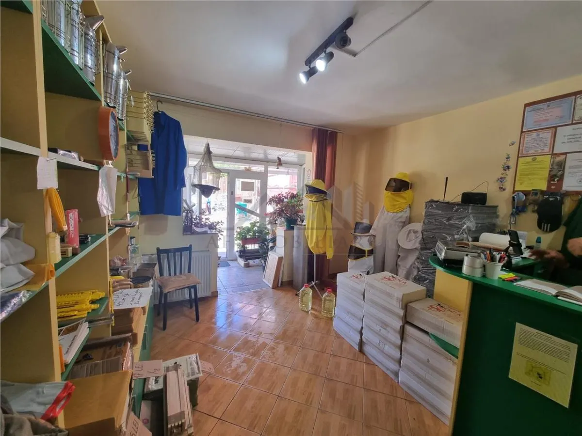 Spatiu comercial 20 mp in Nicolina - foto 3