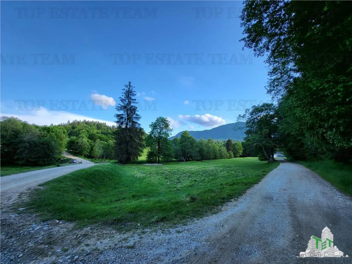 Teren Intravilan 12000 mp, Cascada Urlatoarea, proiect aprobat pentru Resort, langa bazin Piscicol. - foto 1