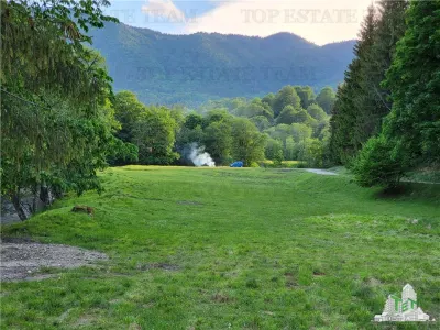 Teren Intravilan 12000 mp, Cascada Urlatoarea, proiect aprobat pentru Resort, langa bazin Piscicol. - foto 2