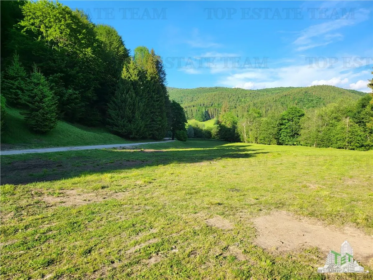 Teren Intravilan 12000 mp, Cascada Urlatoarea, proiect aprobat pentru Resort, langa bazin Piscicol. - foto 12