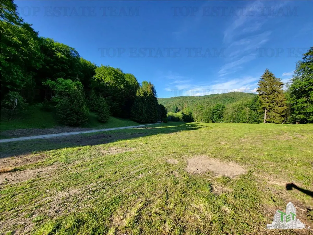 Teren Intravilan 12000 mp, Cascada Urlatoarea, proiect aprobat pentru Resort, langa bazin Piscicol. - foto 13