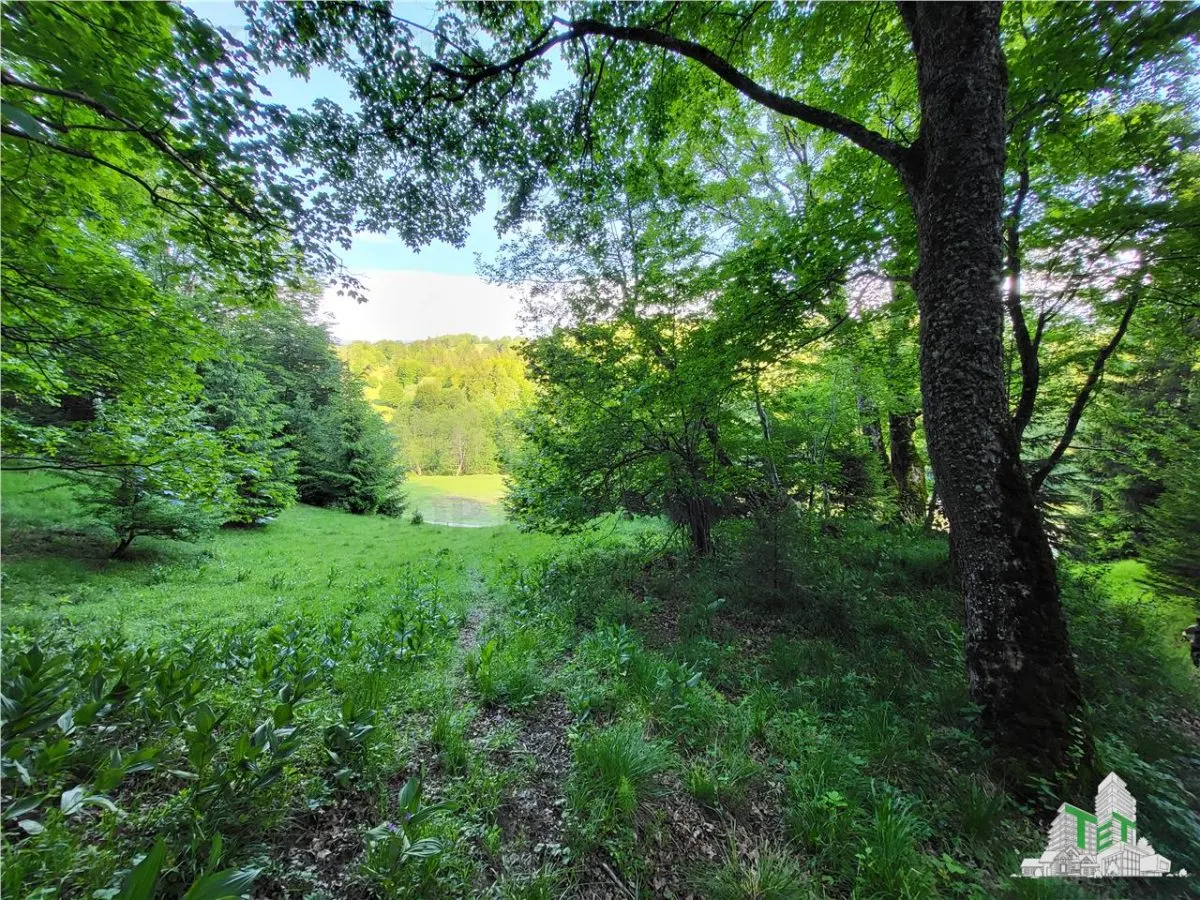 Teren Intravilan 12000 mp, Cascada Urlatoarea, proiect aprobat pentru Resort, langa bazin Piscicol. - foto 14