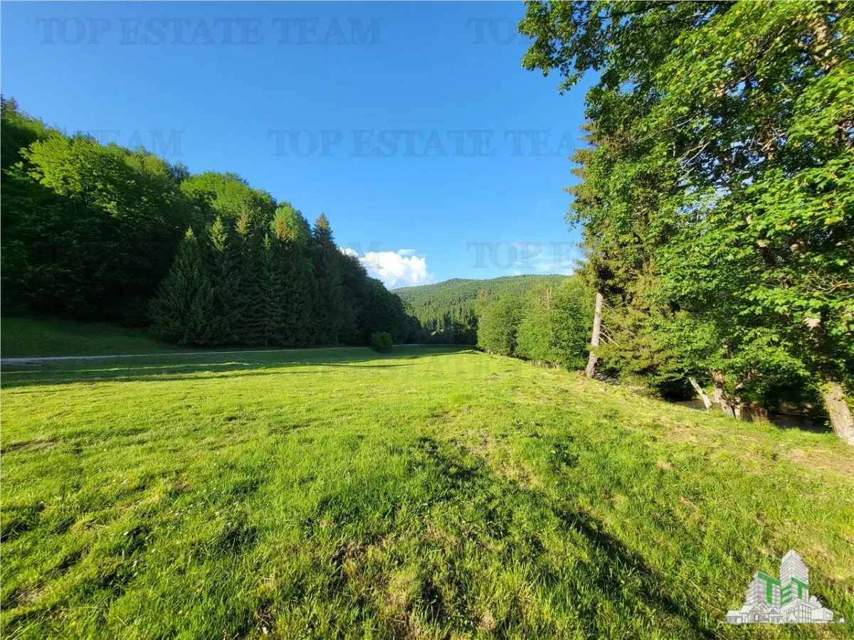 Teren Intravilan 12000 mp, Cascada Urlatoarea, proiect aprobat pentru Resort, langa bazin Piscicol. - foto 15