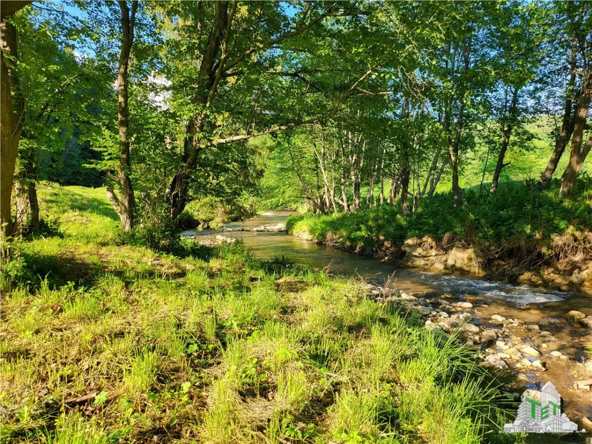 Teren Intravilan 12000 mp, Cascada Urlatoarea, proiect aprobat pentru Resort, langa bazin Piscicol. - foto 16