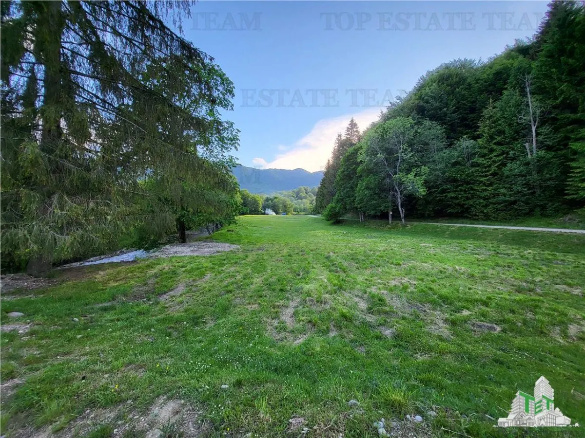 Teren Intravilan 12000 mp, Cascada Urlatoarea, proiect aprobat pentru Resort, langa bazin Piscicol. - foto 9