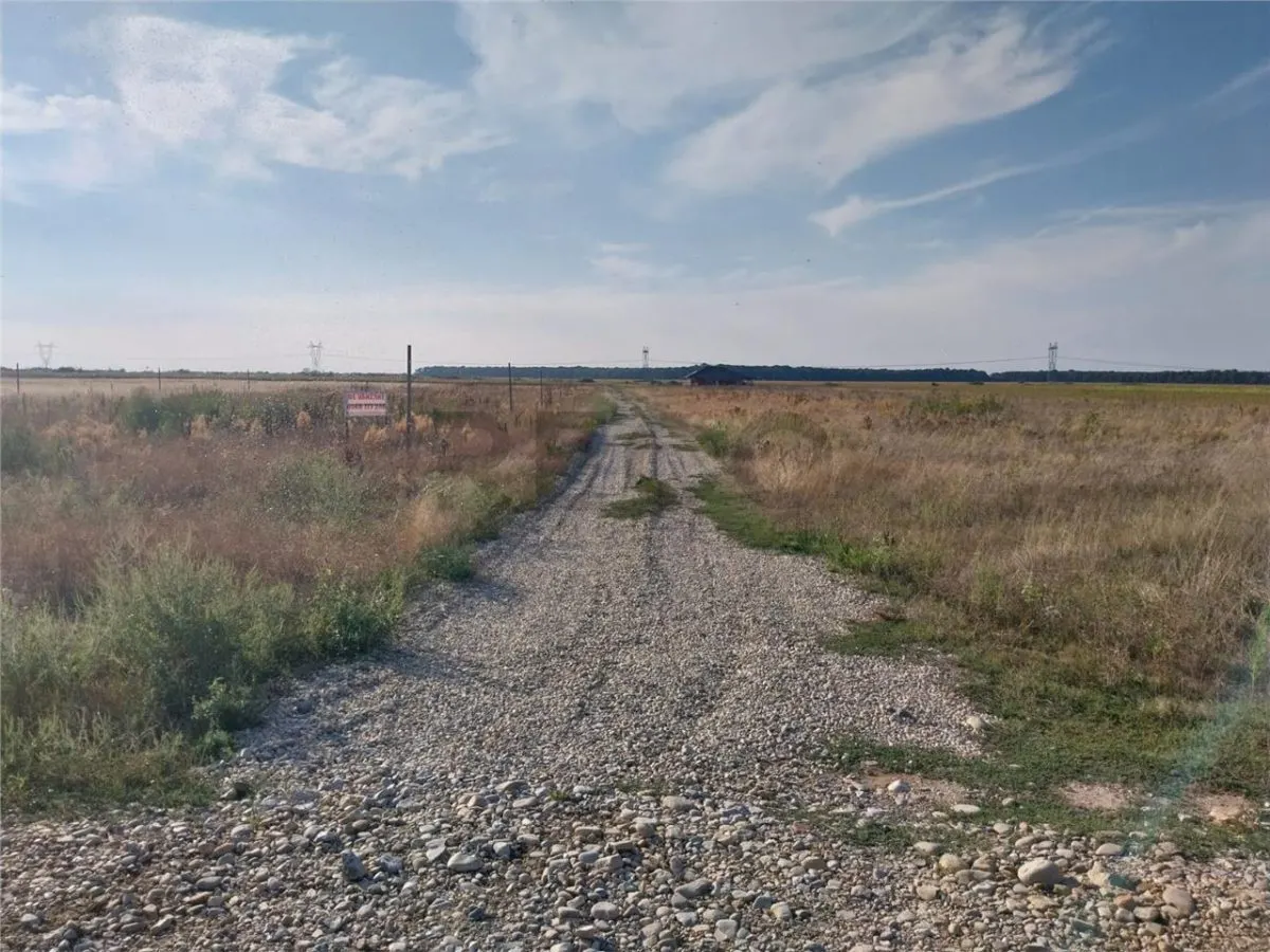 RECO Teren Cihei 504mp - foto 3