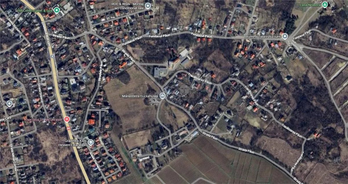 UAT Iasi - Trecatoarea Paun - Teren intravilan Bucium 750mp - foto 3