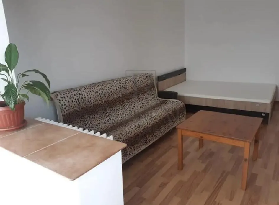 BUZIASULUI - APARTAMENT 1 CAMERA - mobilat, utilat, decomandat - foto 3