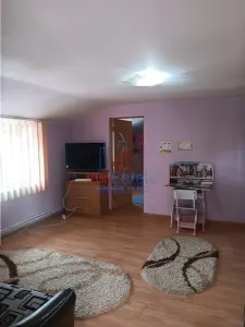 Carlig  Vila D+P+M SC=354mp TEREN 761mp la 6km de Podu De Fier - foto 14