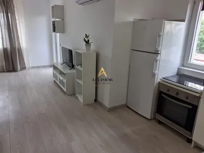 Apartament 2 camere in zona Micro 3 - foto 3