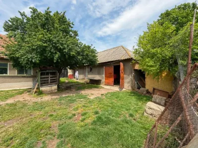 RECO Casa de vanzare cu 3014 mp teren si dublu front stradal ,Gepiu - foto 7