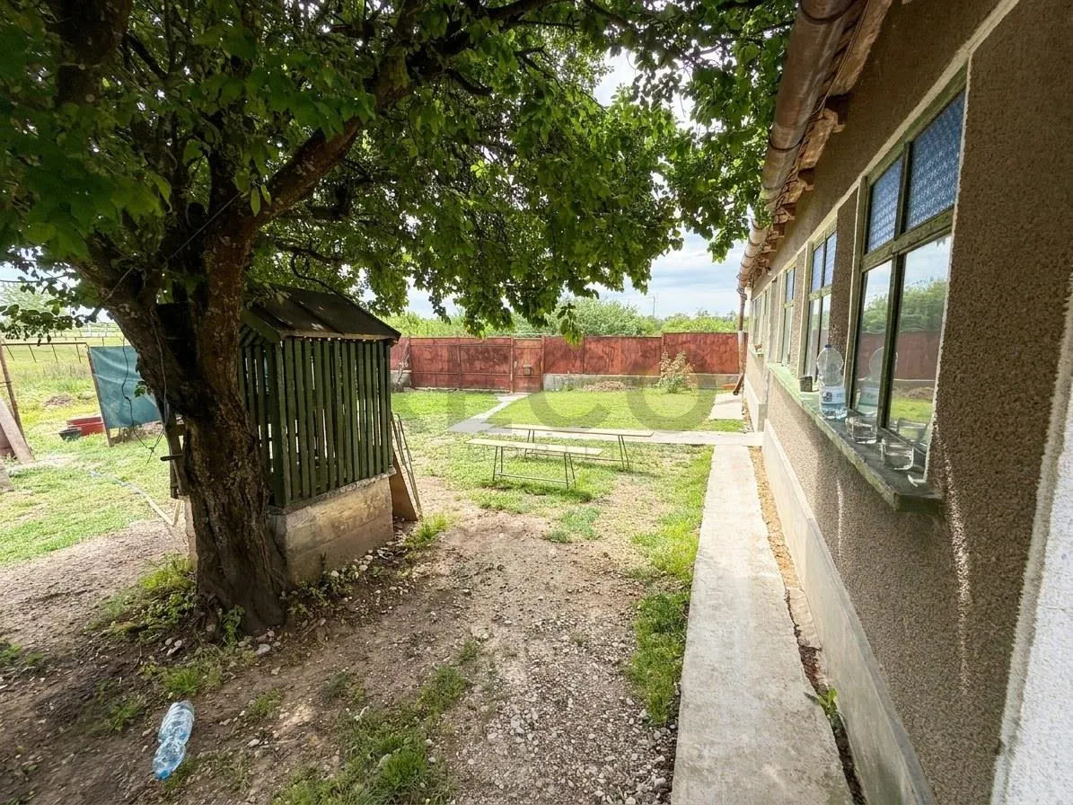 RECO Casa de vanzare cu 3014 mp teren si dublu front stradal ,Gepiu - foto 8