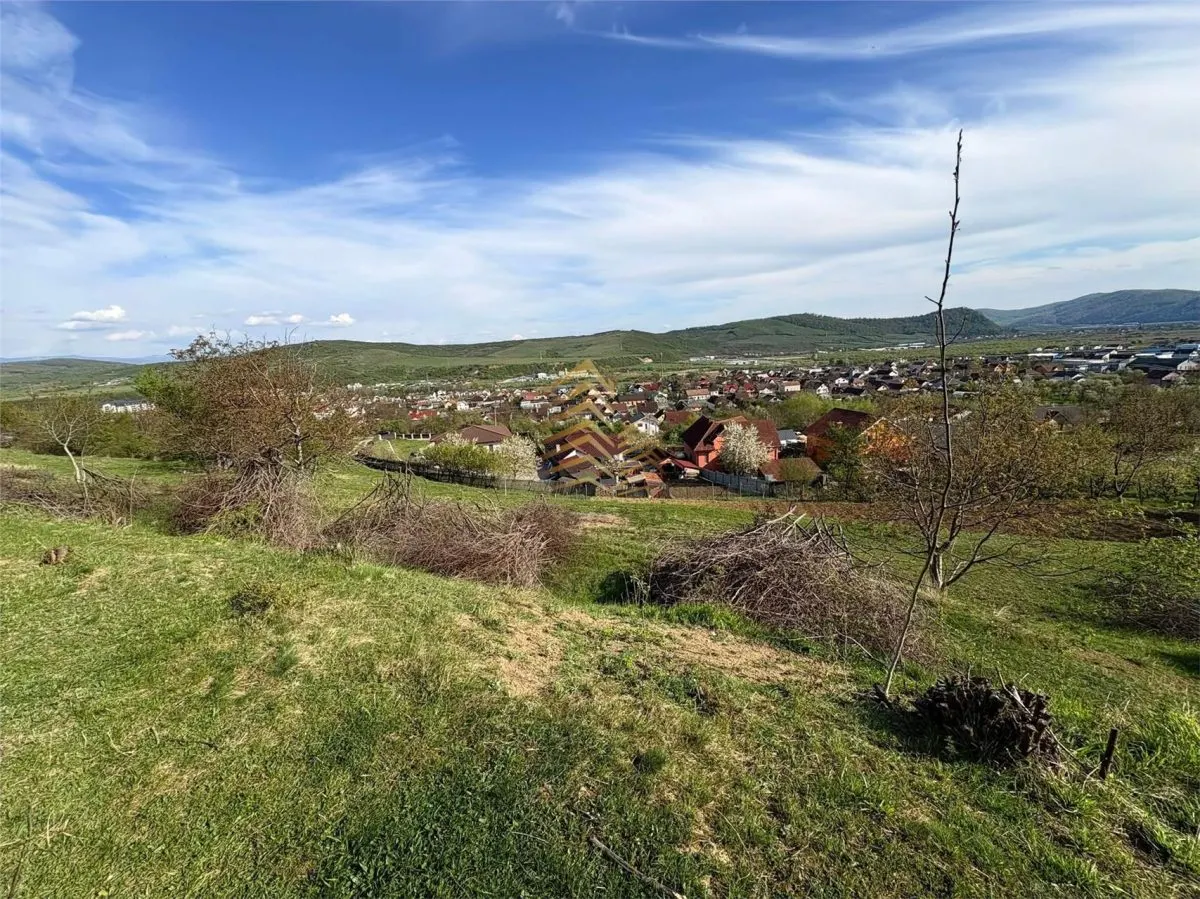 TEREN EXTRAVILAN 30 ARI | VIISOARA - foto 1