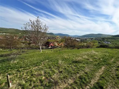 TEREN EXTRAVILAN 30 ARI | VIISOARA - foto 3
