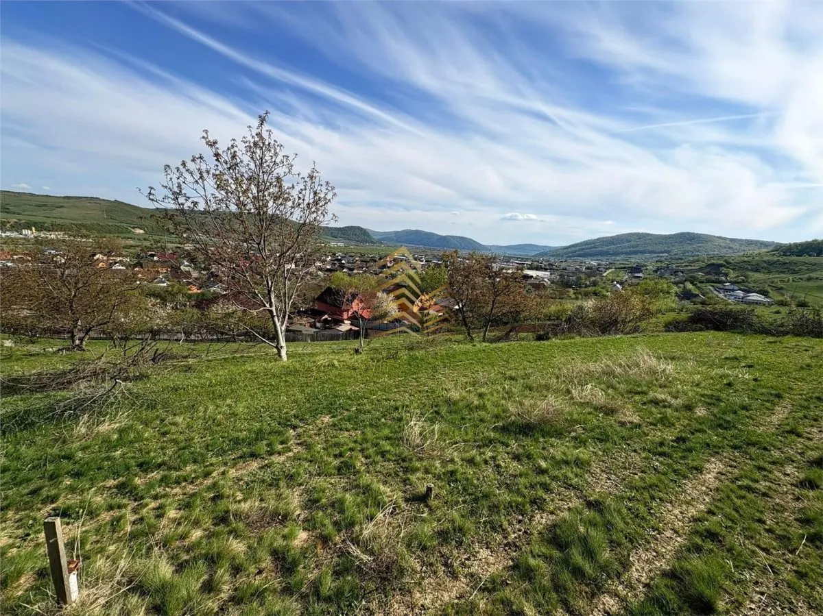 TEREN EXTRAVILAN 30 ARI | VIISOARA - foto 3