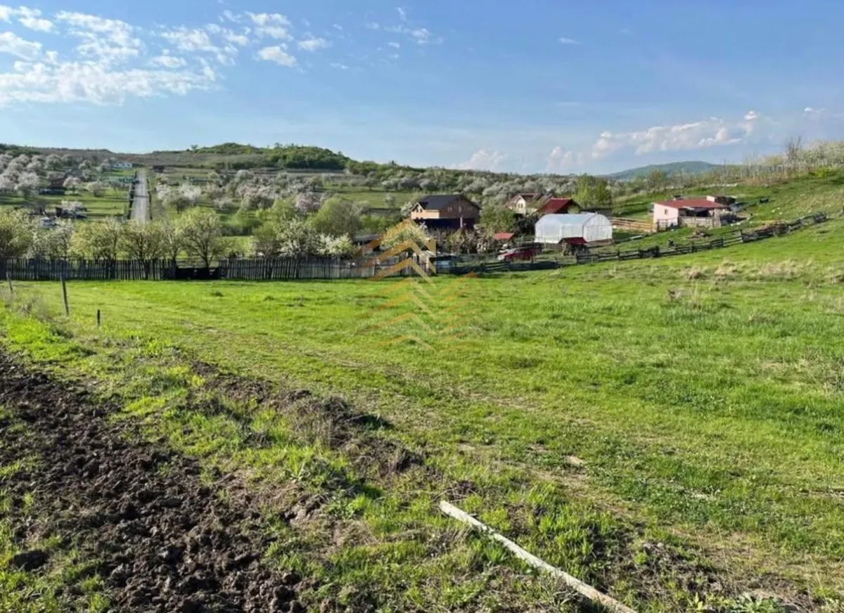 Teren extravilan în Sigmir - foto 2