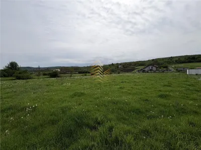 TEREN INTRAVILAN | ZAVOAIE - foto 5
