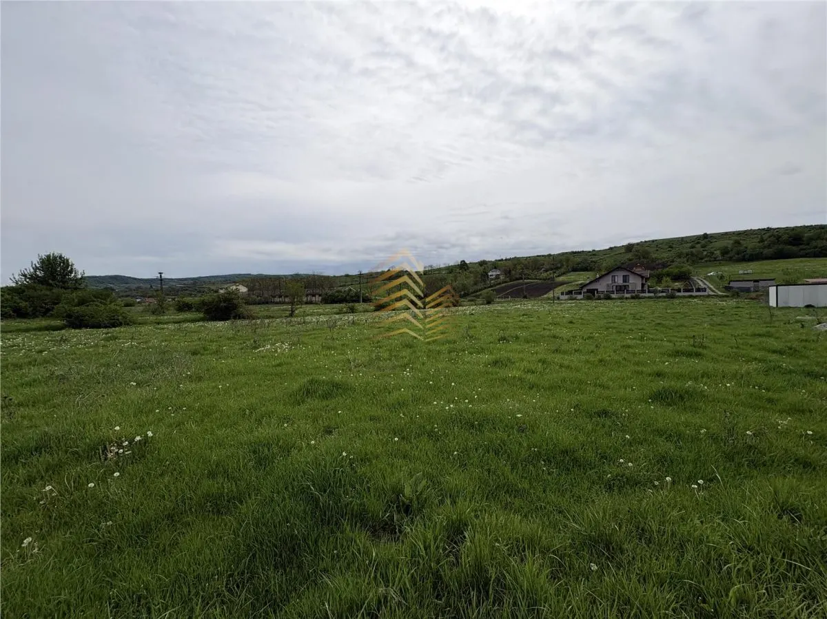 TEREN INTRAVILAN | ZAVOAIE - foto 5