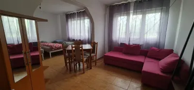 Cazare muncitori garsoniere/apartamente la curte in Vladimirescu - foto 15