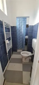 Cazare muncitori garsoniere/apartamente la curte in Vladimirescu - foto 19