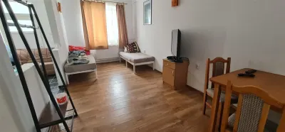 Cazare muncitori garsoniere/apartamente la curte in Vladimirescu - foto 7