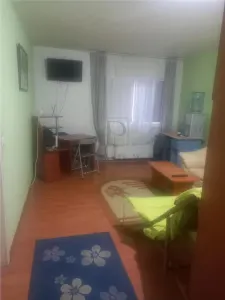 SAGULUI- APARTAMENT 1 CAMERA - mobilat, utilat - Timisoara