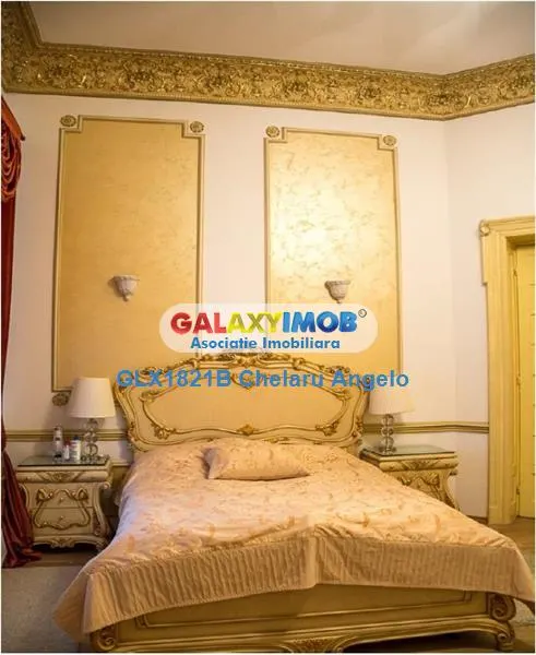Hala Traian,parter vila ,lux,suprafata 260 mp utili , teren 664 - foto 14