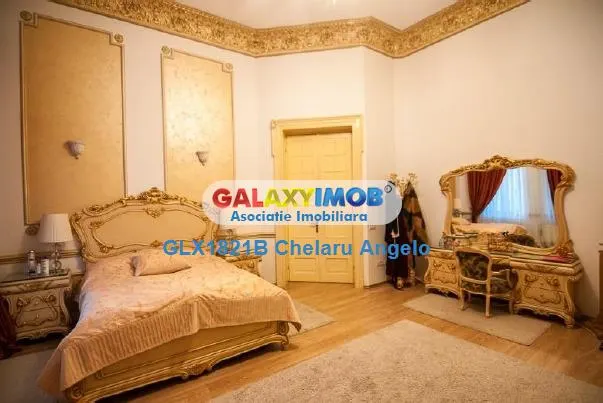 Hala Traian,parter vila ,lux,suprafata 260 mp utili , teren 664 - foto 16