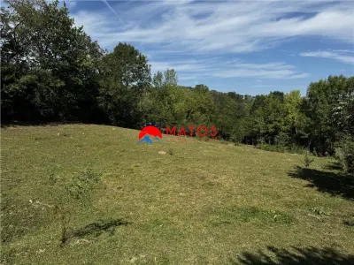 TEREN INTRAVILAN DE VÂNZARE ÎN POIANA CÂMPINA | 3.526 MP | - Poiana Campina