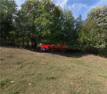 TEREN INTRAVILAN DE VÂNZARE ÎN POIANA CÂMPINA | 3.526 MP | - foto 4